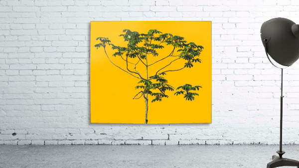 Nature - XVI Wall Preview