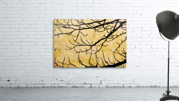 Nature - XVIII Wall Preview