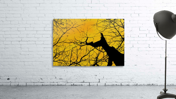 Nature - XIX Wall Preview