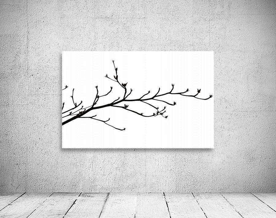 Nature - XXIII Wall Preview
