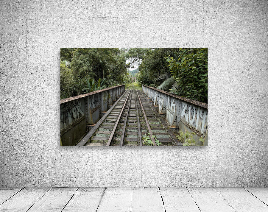 Bridge - XXXV Wall Preview