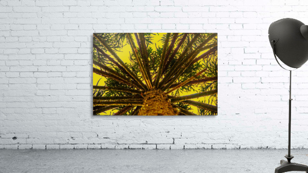 Nature - XXV Wall Preview