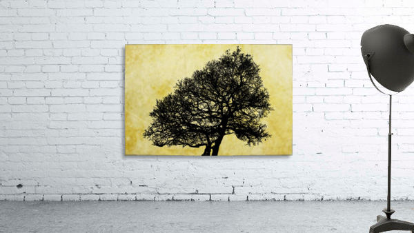 Nature - XLI Wall Preview