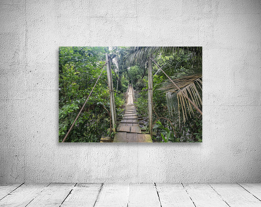 Bridge - XLI Wall Preview