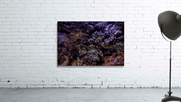 Reflex - XLVIII Wall Preview