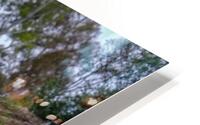 DSC06300 Edit Edit HD Metal print