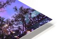 Saffell Sunset HD Metal print