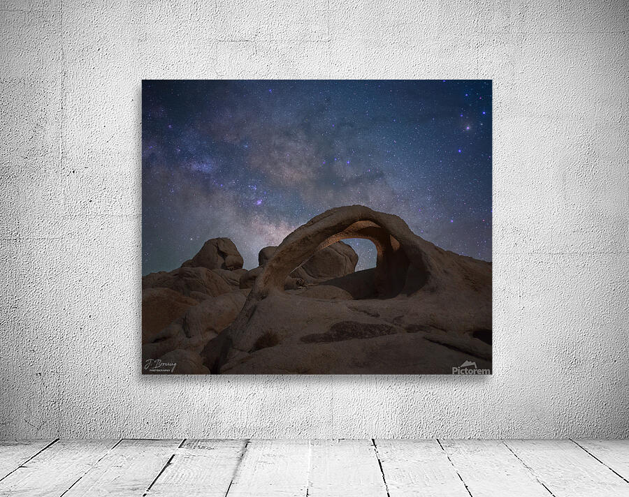 JTree JBrowning Scorpius Arch Wall Preview