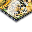 700.015 Big Hug Acrylic print