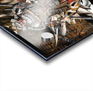 702.002 Samurai  Acrylic print