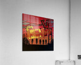 GENX Acrylic Print