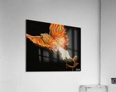 700.005 Firebird Acrylic Print