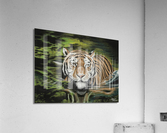 700.022 Evening  Dip  Acrylic Print