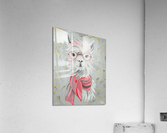 700.024 Llama  Acrylic Print