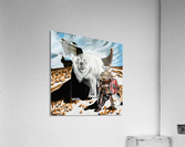 702.004 Viking  Acrylic Print