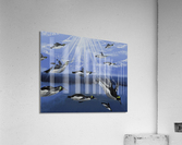701.006 Sun Diving  Acrylic Print