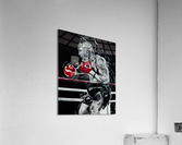 703.003 Tyson   Acrylic Print