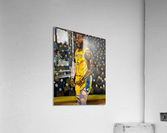 703.008 LeBron Acrylic Print