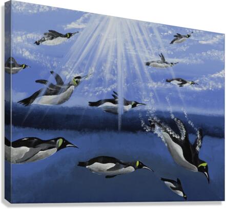701.006 Sun Diving  Canvas Print