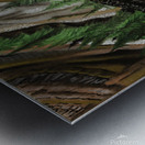 701.001 Soaring  Metal print