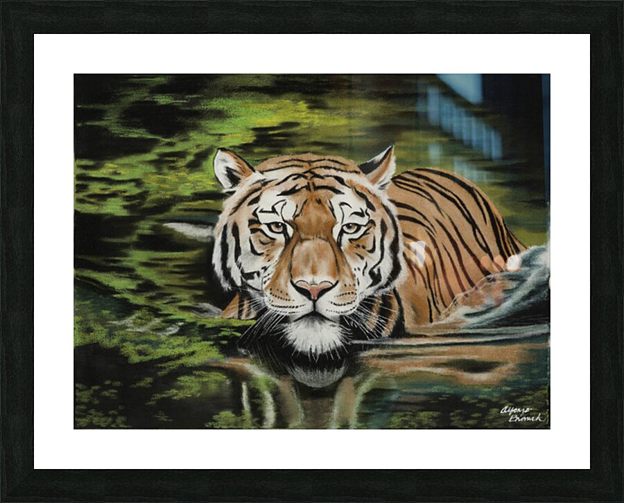700.022 Evening  Dip  Picture Frame print