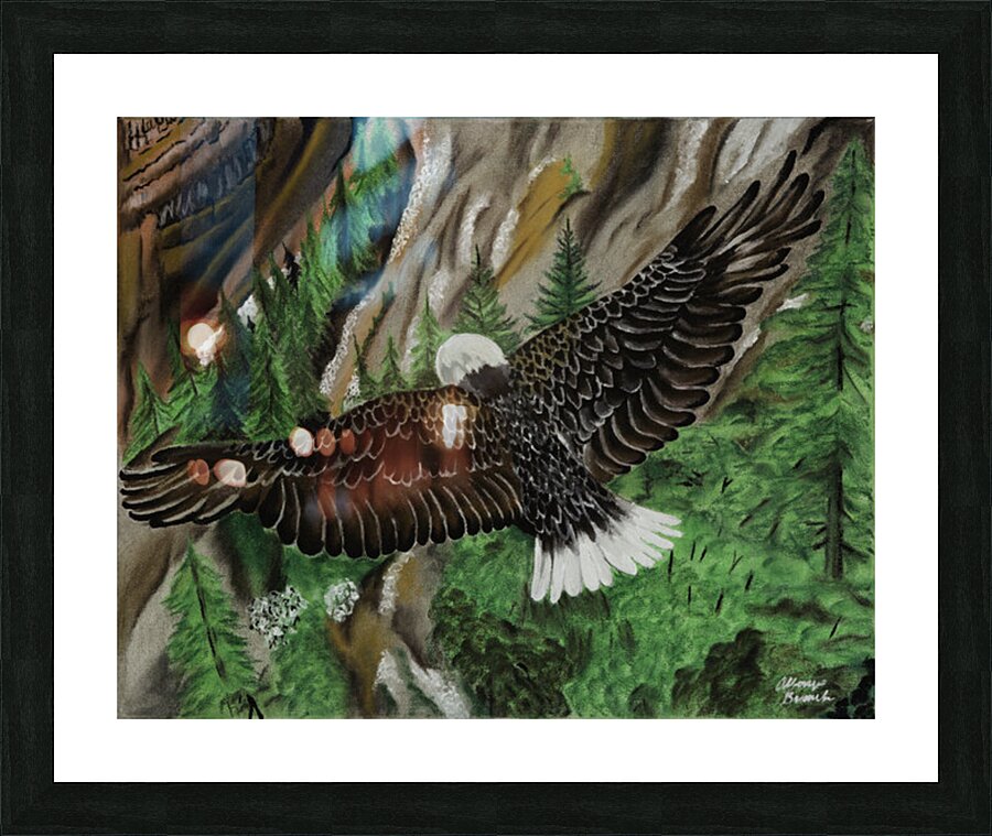 701.001 Soaring  Picture Frame print