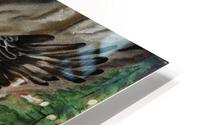 701.001 Soaring  HD Metal print