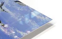 701.006 Sun Diving  HD Metal print