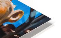 702.009 Poo HD Metal print
