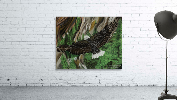 701.001 Soaring  Wall Preview