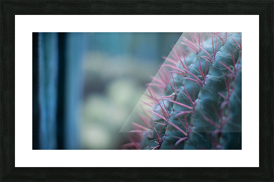 Cactus 01 Marrakech 2018  Picture Frame print
