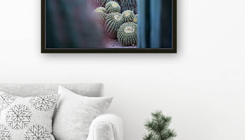 Cactus 02 Marrakech 2018 by Marion Xenia VALERS