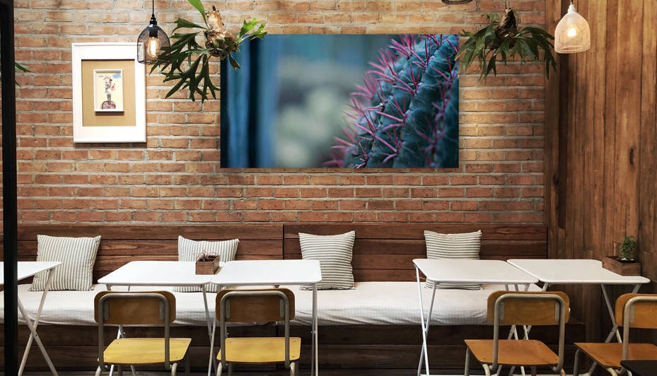 Cactus 01 Marrakech 2018  by Marion Xenia VALERS