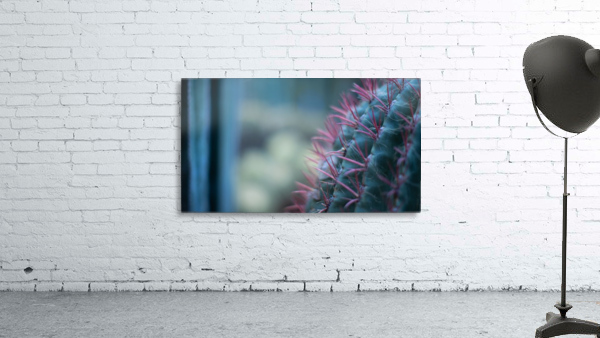 Cactus 01 Marrakech 2018  Wall Preview