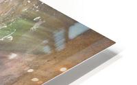 Pisces 1 HD Metal print