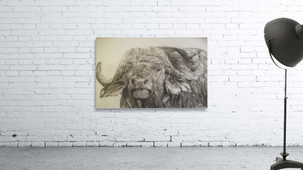 Cape Buffalo Wall Preview