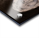 Woman - Femme Acrylic print