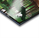Forest Bathing -  Baignade en foret Acrylic print
