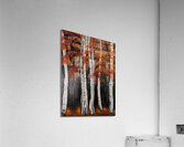 Autumn Leaves - Feuilles dautomne Acrylic Print