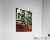 Forest Bathing -  Baignade en foret Acrylic Print