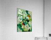 The Pan Stream Acrylic Print