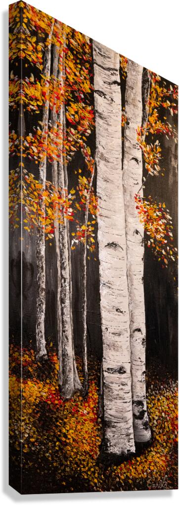 Birch Trees - Bouleaux Canvas Print