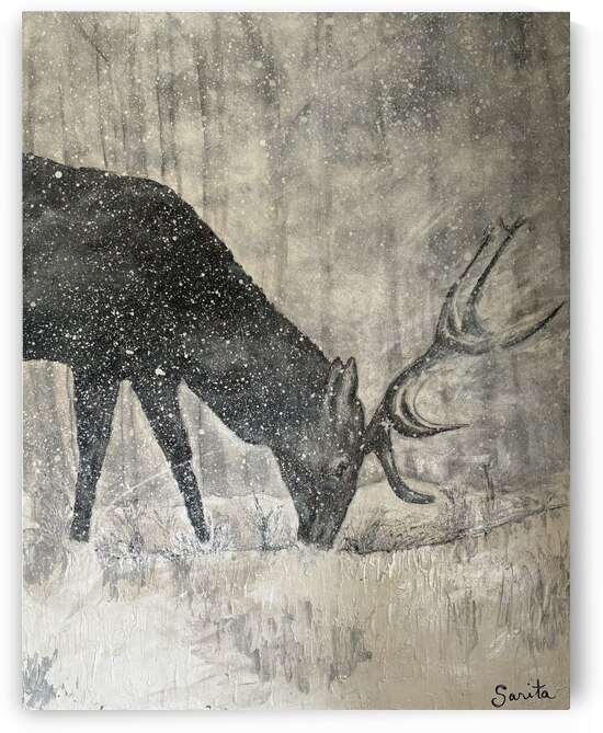 Deer - Chevreuil by RMI Art a la carte