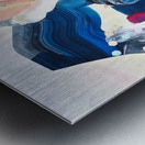  Reef Ecosystem  Impression metal