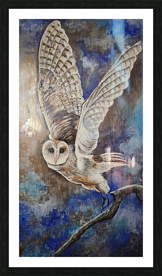 Owl - Hibou Picture Frame print