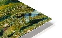 Enchanted Forest - Foret enchantee HD Metal print