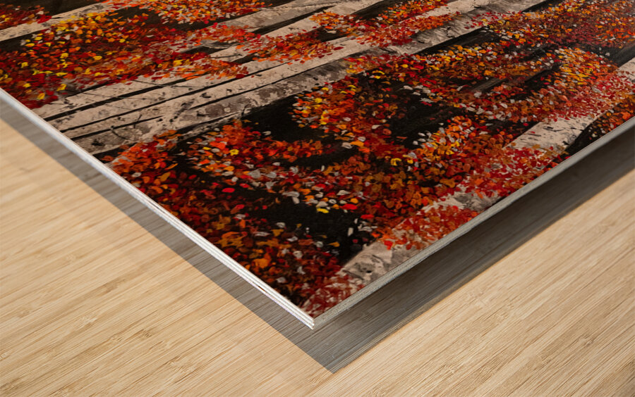 Autumn Leaves - Feuilles dautomne Wood print