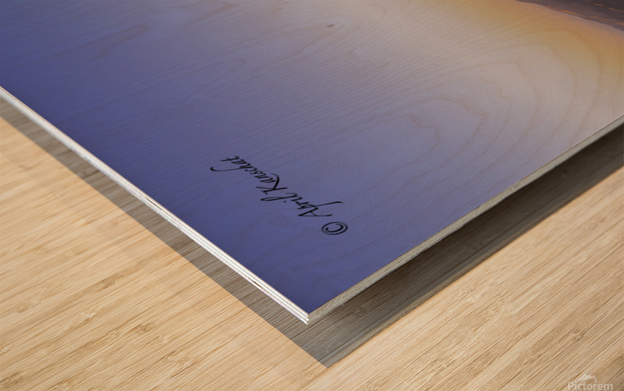 Window Seat Wood print