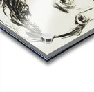 Dr. Max Linde 1902 by Edvard Munch. Original from Acrylic print