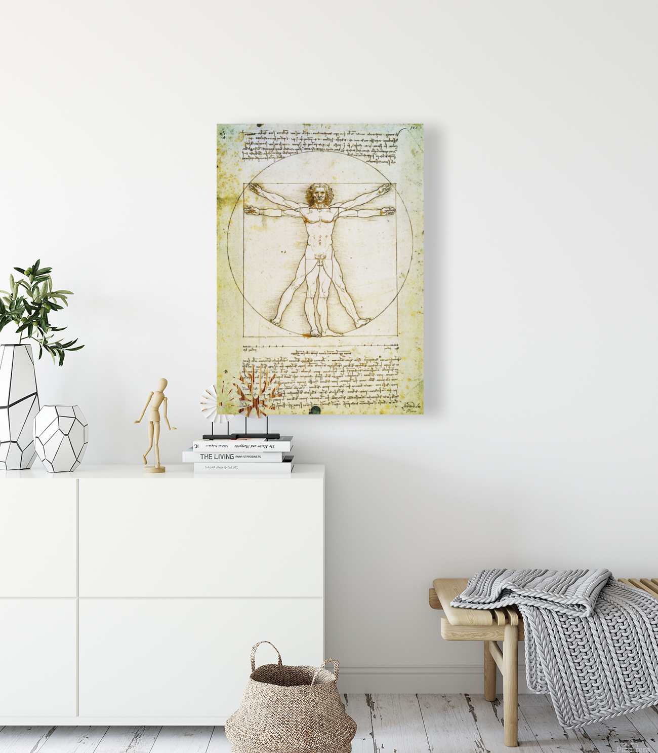 Vitruvian Man Reproduction